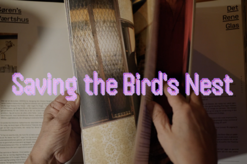 Open project: Saving the Bird’s Nest