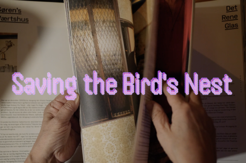 Open project: Saving the Bird’s Nest (in proces)